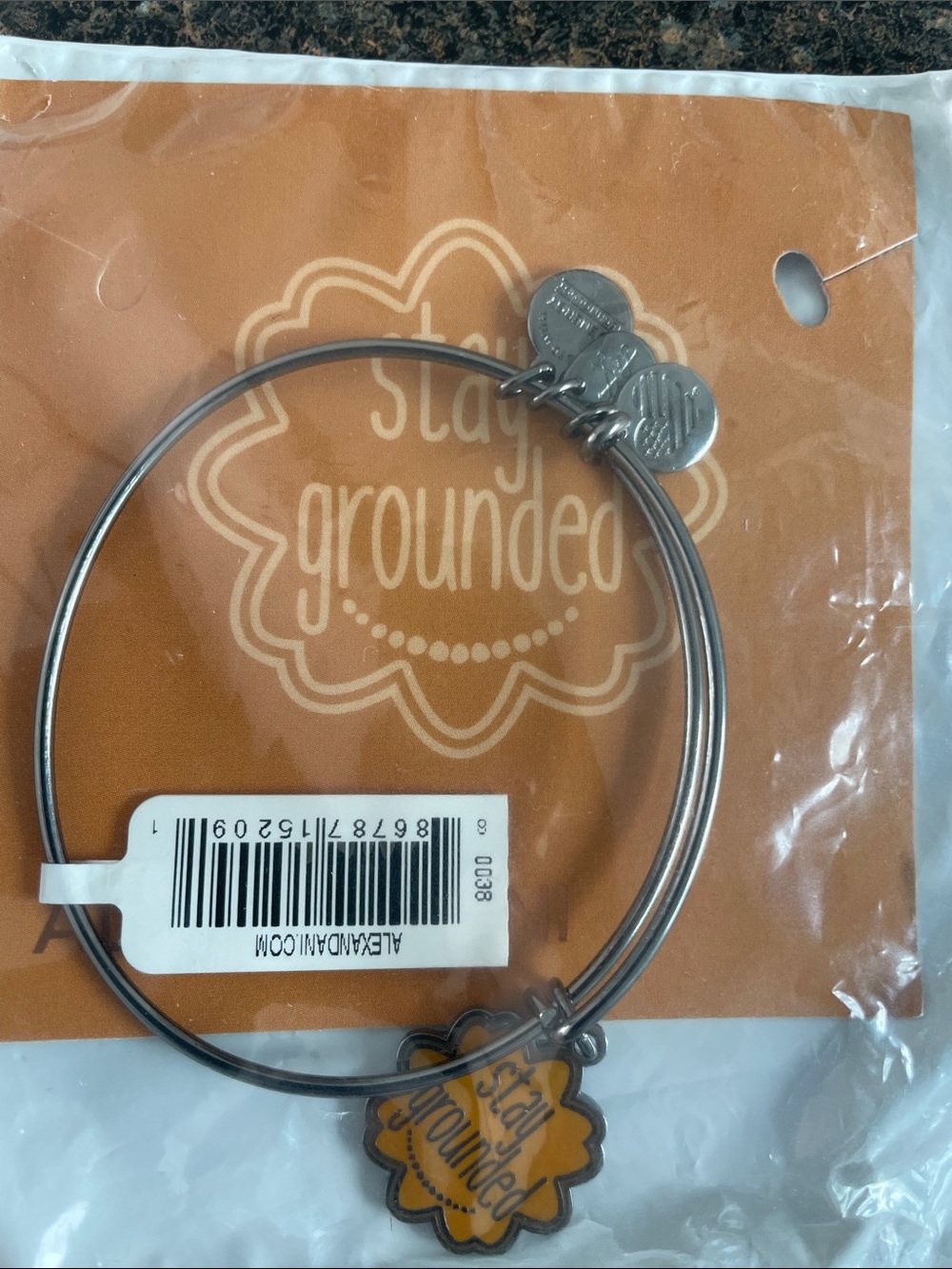 Alex and Ani Silver “Stay Grounded” charm bracelet